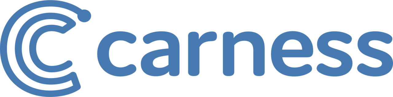 IT Solutions - Carness