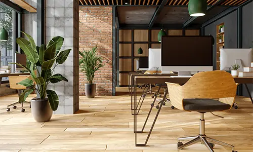 Carness IT Support Services IT Support Services